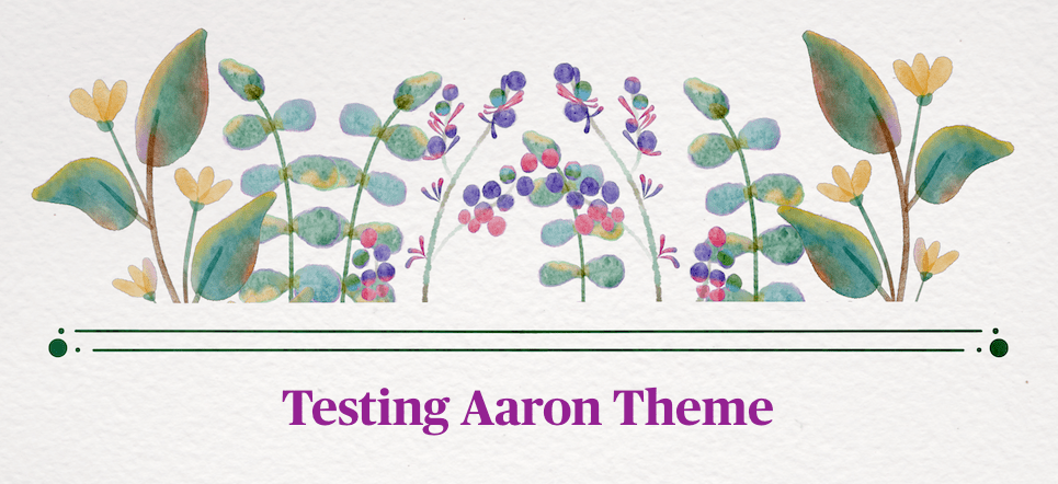 testing aaron theme